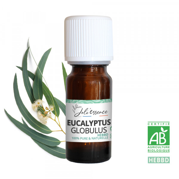 Huile essentielle eucalyptus globulus BIO