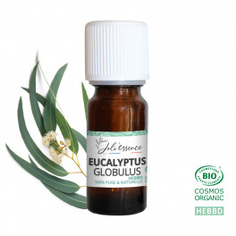 Eucalyptus globulus BIO - Huile essentielle