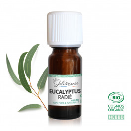 *Eucalyptus radié BIO - Huile essentielle