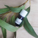huile essentielle eucalyptus