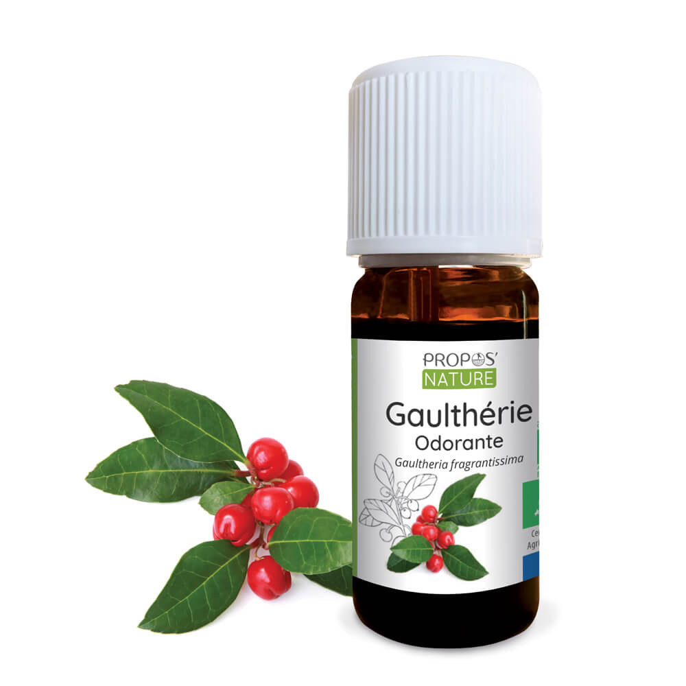 Huile essentielle Gaulthérie odorante BIO - Gaultheria fragrantissima