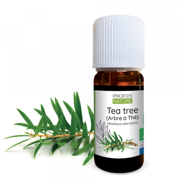 Huile essentielle de Tea Tree ou arbre a the en flacon de 10 ou 30 ml